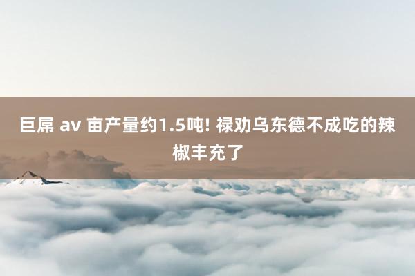 巨屌 av 亩产量约1.5吨! 禄劝乌东德不成吃的辣椒丰充了