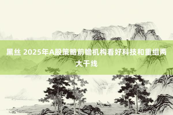 黑丝 2025年A股策略前瞻机构看好科技和重组两大干线
