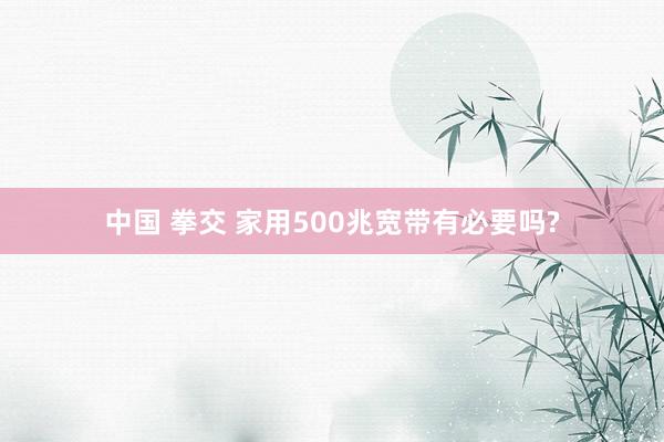 中国 拳交 家用500兆宽带有必要吗?